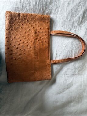 Ostrich leather hand bag suede interior South Africa